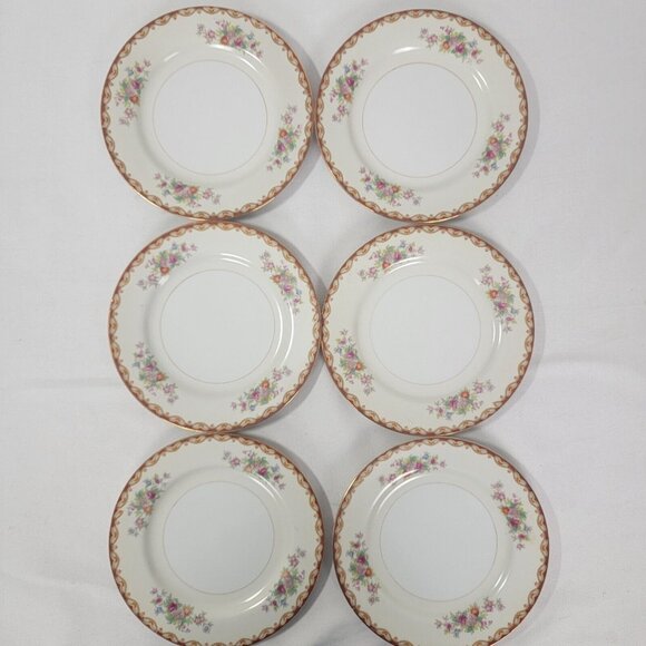 Lot of 6 Vintage SALAD Plate DIAMOND CHINA Made in Japan 7.25" Roslyn Floral HTF - Picture 1 of 6